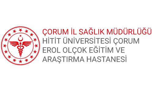 Hitit University Corum Erol Olçok Training and Research Hospital