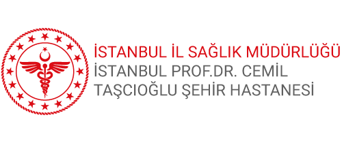 İstanbul Prof. Dr. Cemil Taşcıoğlu City Hospital
