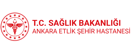 Ankara Etlik City Hospital